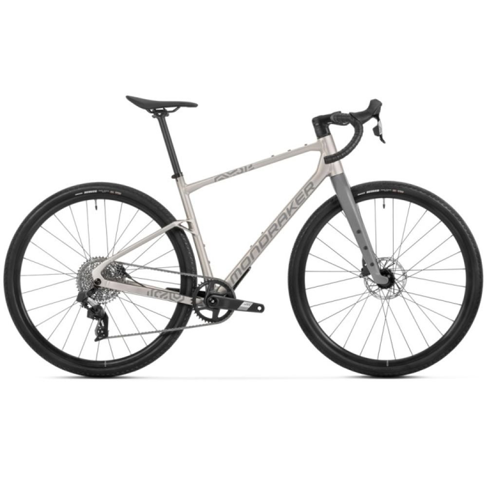 Mondraker Arid R golden silver - RH-ML