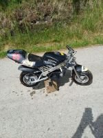 Produktbild 1 von Pocketbike 