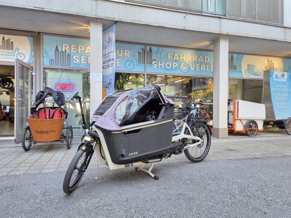Ca Go FS 200 Family Plus Lastenrad Cargo Bike Kinder Transporter Lastenfahrrad Dreirad Elektro E-Bike