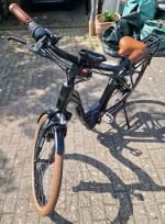 Produktbild 1 von Riese &amp; Müller Swing Vario Komfort Pedelec E-Bike 