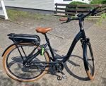 Produktbild 2 von Riese &amp; Müller Swing Vario Komfort Pedelec E-Bike 