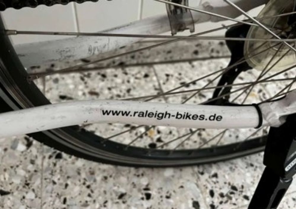 CITYBIKE Raleight