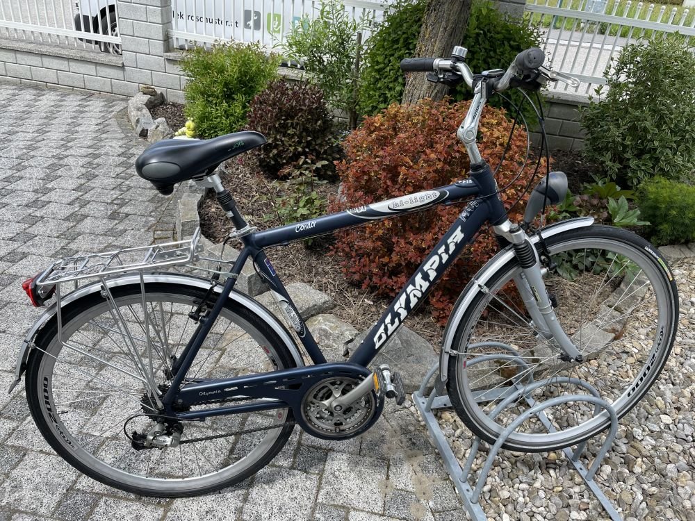 Herren Trekkingrad