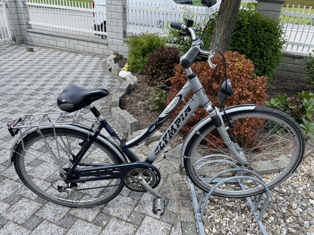 Damen Trekkingrad