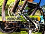 Produktbild 6 von E-Bike M1 SPORTTECHNIK ERZBERG CC Gr. L