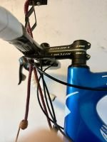 Produktbild 5 von Simplon Pavo Carbon Rennrad | SRAM Force | American Classic Laufräder