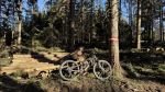 Produktbild 2 von STOLL M3 Stage Race 120mm Flight Attendand High End MTB Size L