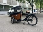 Produktbild 7 von Babboe Carve Mountain Lastenrad Cargo Bike Kinder Transporter Lastenfahrrad Dreirad E-Bike