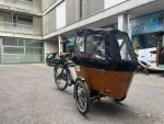 Produktbild 10 von Babboe Carve Mountain Lastenrad Cargo Bike Kinder Transporter Lastenfahrrad Dreirad E-Bike