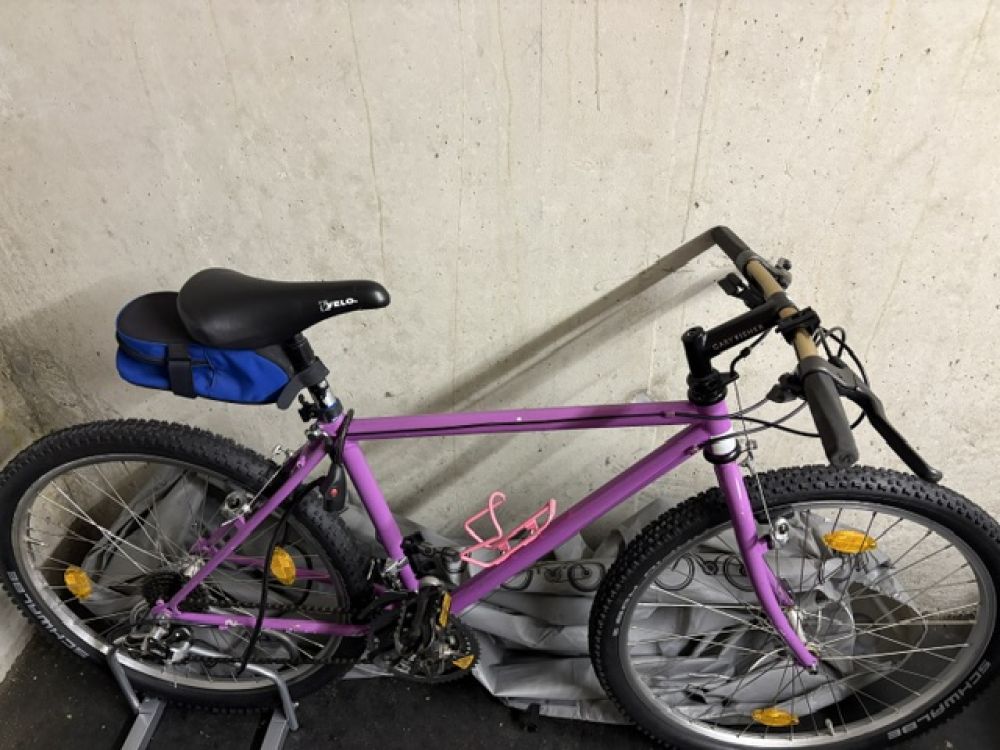 Gary Fisher Mountainbike