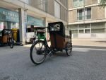 Produktbild 2 von Babboe Go Lastenrad Cargo Bike Kinder Transporter Lastenfahrrad Dreirad E-Bike