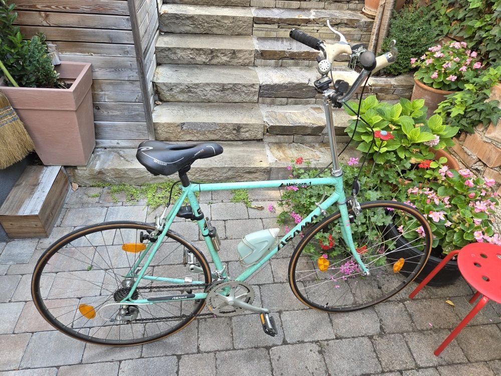 Oldtimer Rennrad Unicorn 1 Umbau