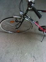 Produktbild 3 von Herrenfahrrad Pentasport Modell Torpedo FunBike  Nabenschaltung bezeichnet 