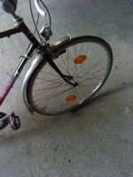 Produktbild 4 von Herrenfahrrad Pentasport Modell Torpedo FunBike  Nabenschaltung bezeichnet 