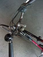 Produktbild 8 von Herrenfahrrad Pentasport Modell Torpedo FunBike  Nabenschaltung bezeichnet 