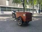 Produktbild 4 von Babboe Big E Kinder Elektro Lastenrad Cargo Bike Transporter