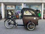 Produktbild 9 von DOG Kinder Elektro Lastenrad Cargo Bike Transporter Lastenfahrrad Dreirad E-Bike