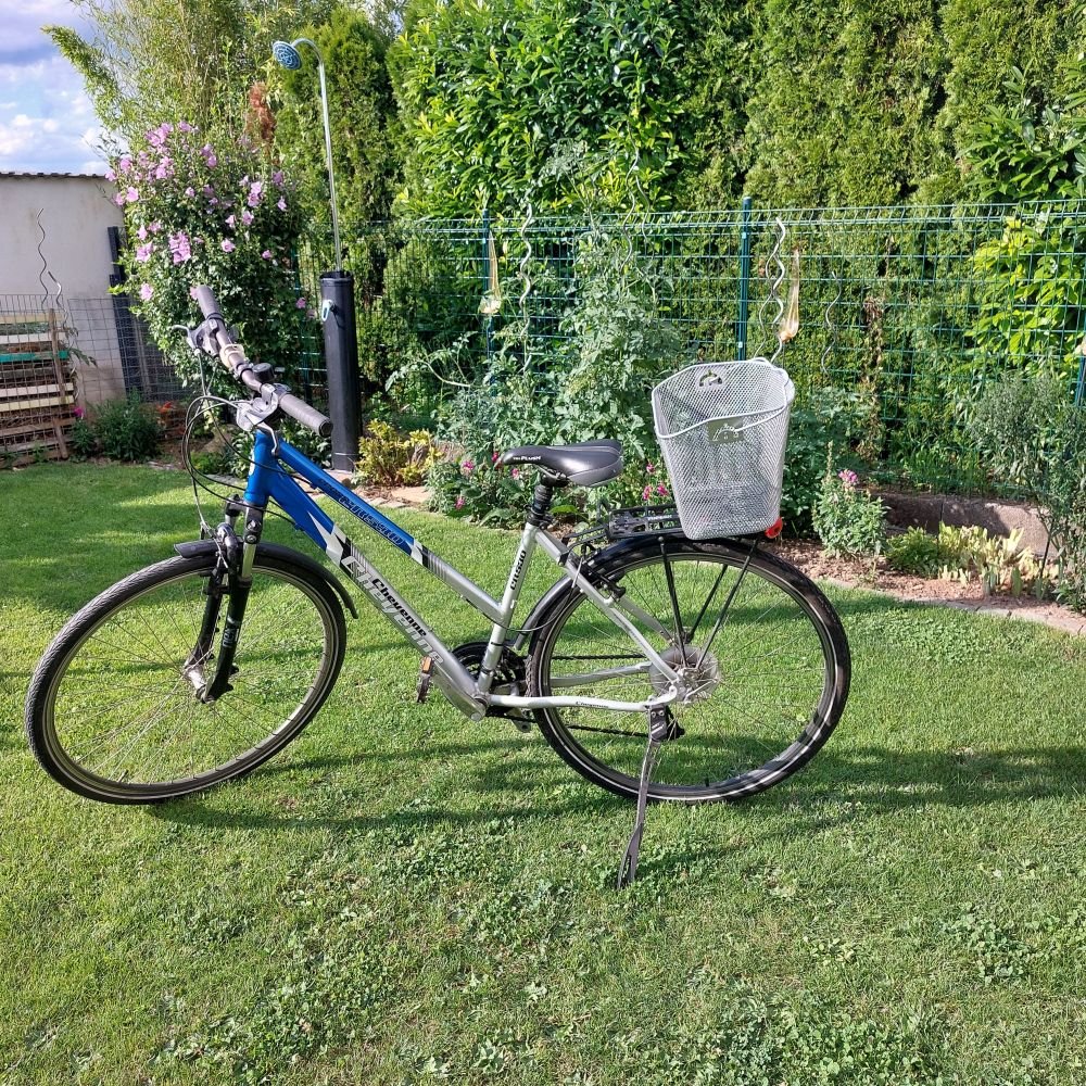 Citybike