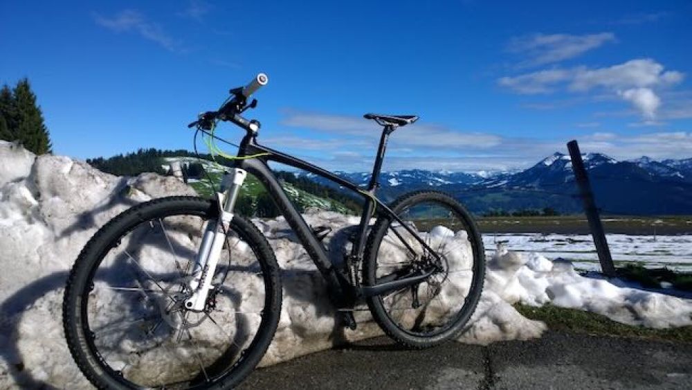 Leichtes 29" Vollcarbon MTB (11,4 kg | Gr. L) | RockShox Reba | Crankbrothers Cobalt | SRAM X0/X9