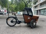 Produktbild 4 von Babboe Carve E Lastenrad Cargo Bike Kinder Transporter Lastenfahrrad Dreirad E-Bike Lasten