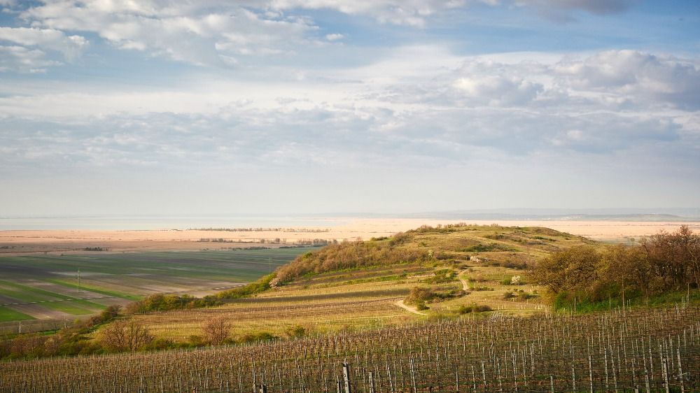 Welterbe Naturpark Neusiedler See – Leithagebirge