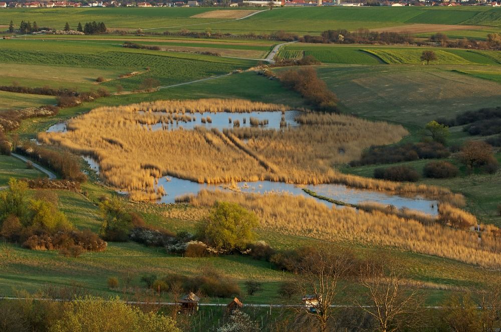 Naturpark Rosalia – Kogelberg