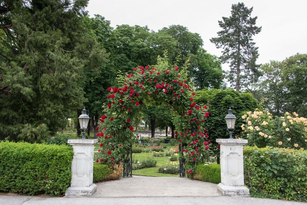 Rosarium & Kurpark