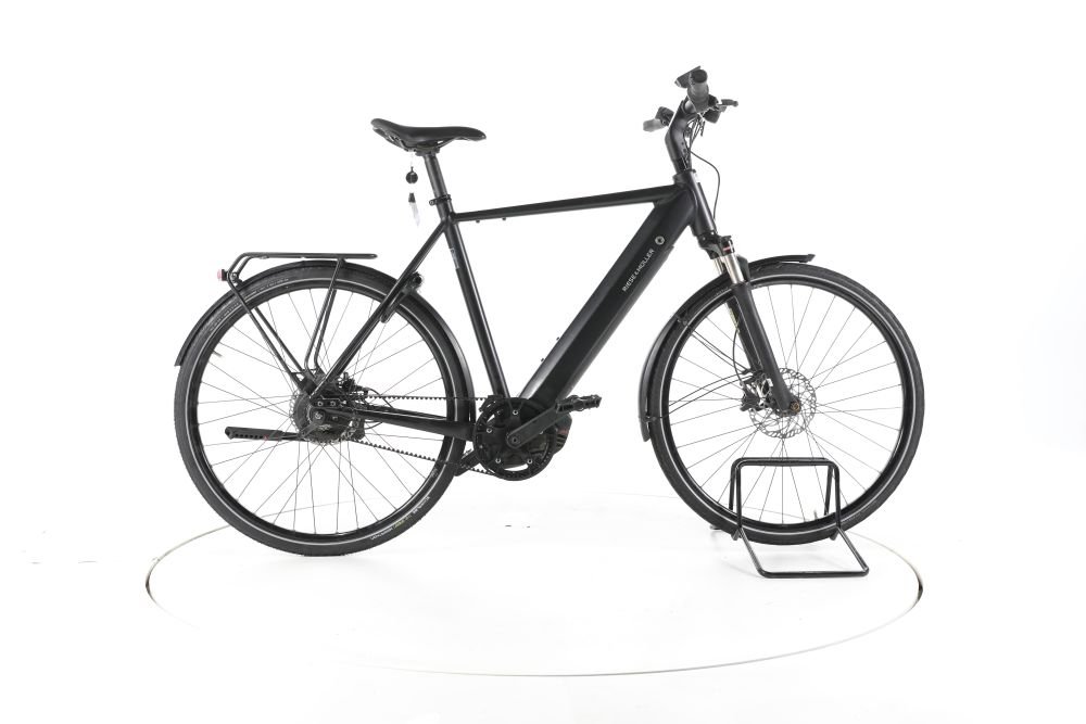 Riese & Müller Roadster vario City E-Bike