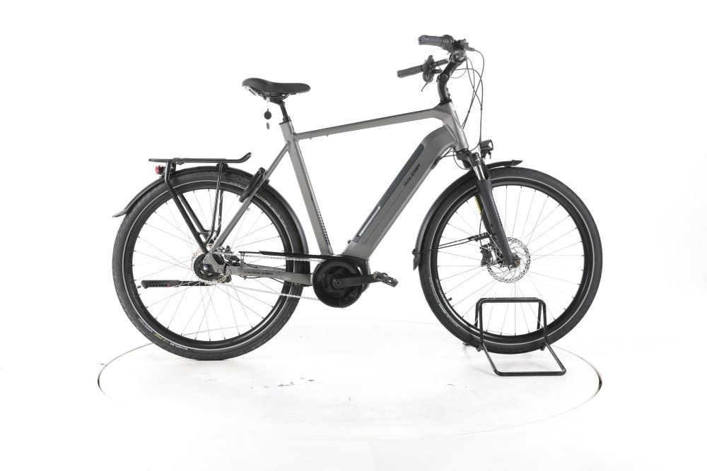 Raleigh Bristol XXL City E-Bike