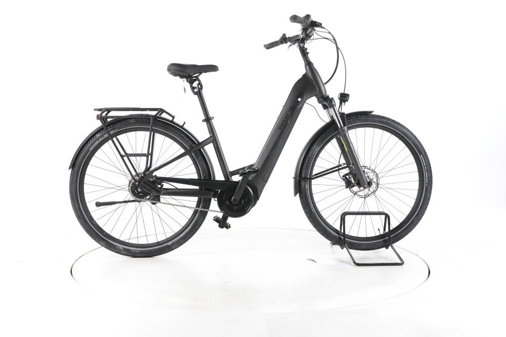 Pegasus Savino EVO 5R Performance City E-Bike Tiefeinsteiger