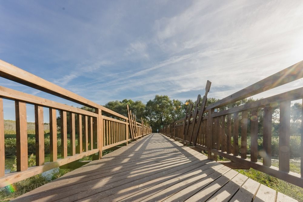 Brücke von Andau