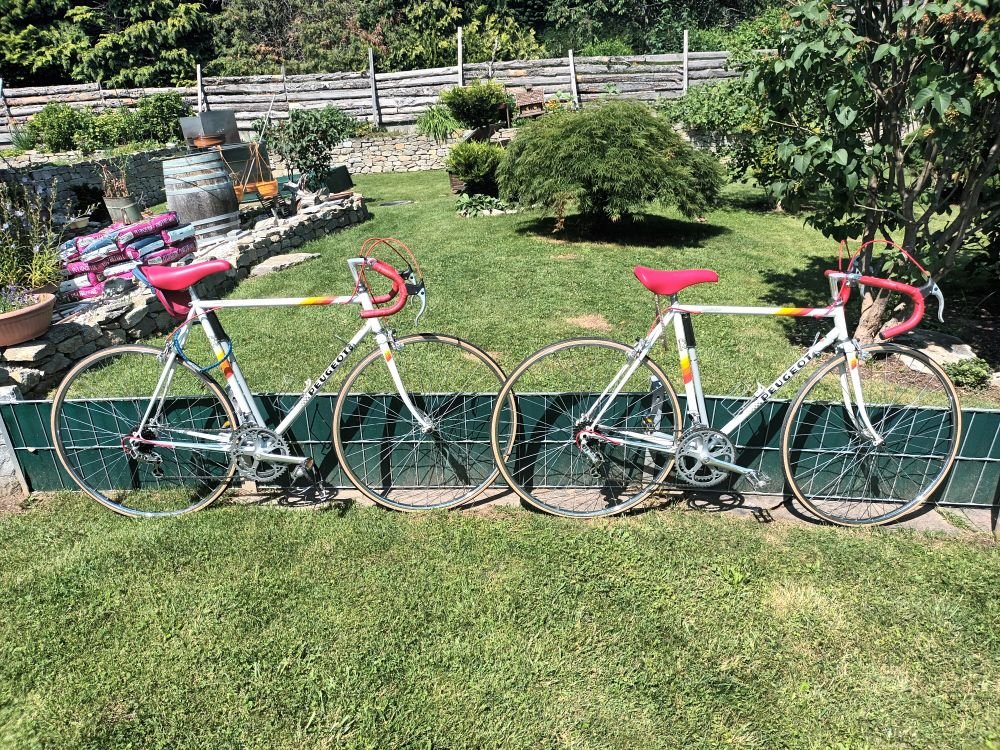 Peugeot vintage Rennräder im SET    -     2 Räder im Partnerlook
