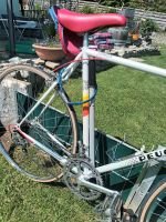 Produktbild 2 von Peugeot vintage Rennräder im SET    -     2 Räder im Partnerlook