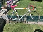 Produktbild 4 von Peugeot vintage Rennräder im SET    -     2 Räder im Partnerlook