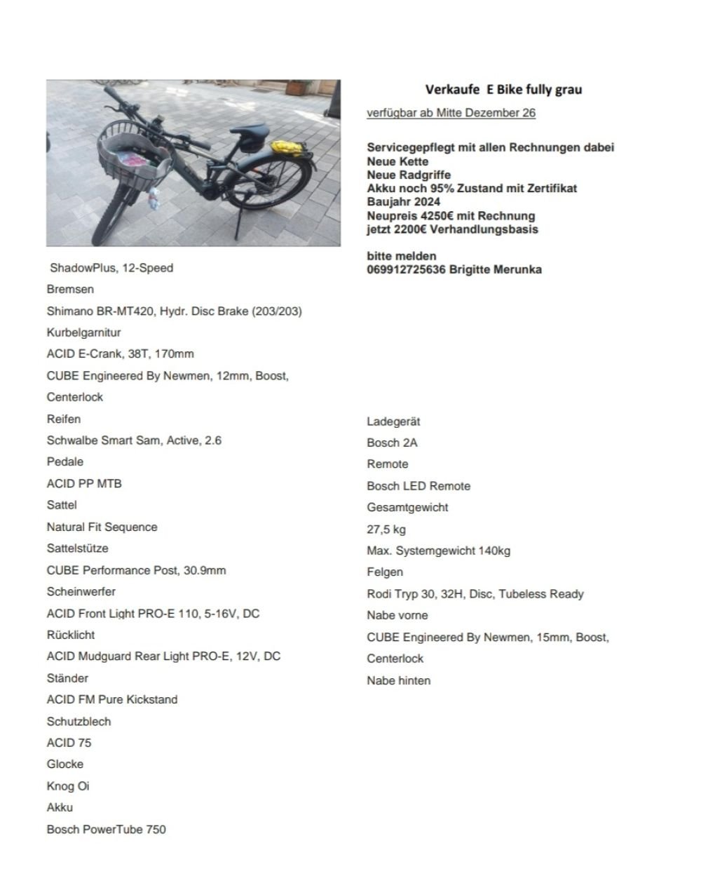 e bike