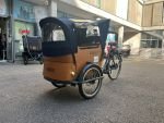 Produktbild 10 von Babboe Curve Lastenrad Cargo Bike Kinder Transporter Lastenfahrrad Dreirad E-Bike