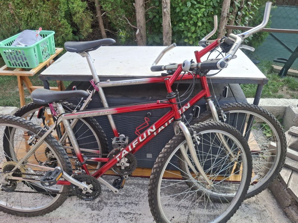 2 Stk. Mountain Bikes 