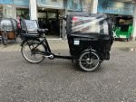 Produktbild 5 von Babboe Big E Kinder Elektro Lastenrad Cargo Bike Transporter Lastenfahrrad Dreirad E-Bike