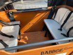 Produktbild 3 von Babboe Curve Mountain Lastenrad Cargo Bike Kinder Transporter Lastenfahrrad Dreirad E-Bike