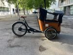 Produktbild 7 von Babboe Curve Mountain Lastenrad Cargo Bike Kinder Transporter Lastenfahrrad Dreirad E-Bike