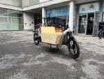 Produktbild 9 von Johansson Lastenrad Gunnar Cargo Bike Kinder Transporter Lastenfahrrad Elektro E-Bike