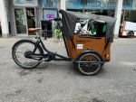 Produktbild 7 von Babboe Curve Mountain Lastenrad Cargo Bike Kinder Transporter Lastenfahrrad Dreirad E-Bike
