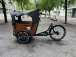 Produktbild 9 von Babboe Curve Mountain Lastenrad Cargo Bike Kinder Transporter Lastenfahrrad Dreirad E-Bike