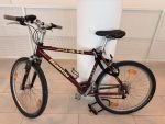 Produktbild 1 von Bianchi Montainbike Herren