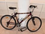 Produktbild 3 von Bianchi Montainbike Herren