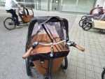 Produktbild 2 von Carve E Lastenrad Cargo Bike Kinder Transporter Lastenfahrrad Dreirad Elektro Fahrrad