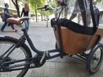 Produktbild 6 von Carve E Lastenrad Cargo Bike Kinder Transporter Lastenfahrrad Dreirad Elektro Fahrrad