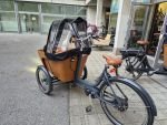 Produktbild 8 von Carve E Lastenrad Cargo Bike Kinder Transporter Lastenfahrrad Dreirad Elektro Fahrrad