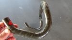 Produktbild 2 von Schmolke Carbonlenker 42cm