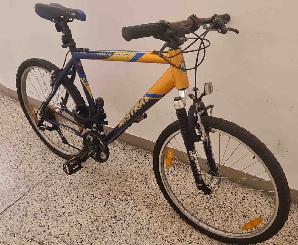 Mountainbike Herren Mistral